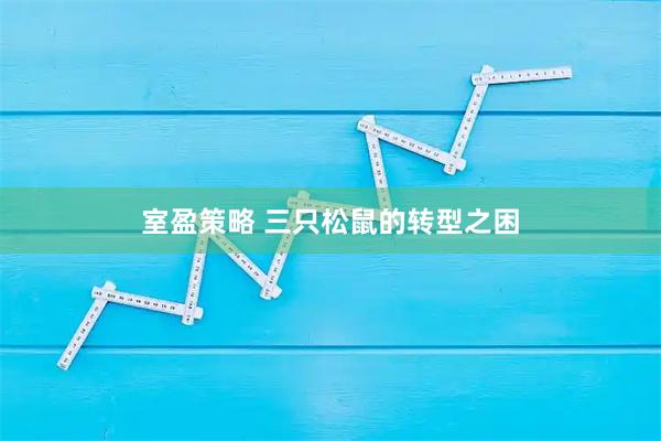 室盈策略 三只松鼠的转型之困