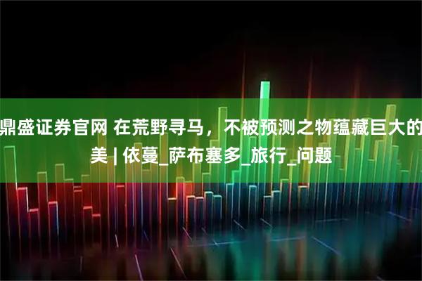 鼎盛证券官网 在荒野寻马，不被预测之物蕴藏巨大的美 | 依蔓_萨布塞多_旅行_问题